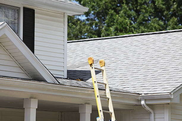 Professional Siding in South Pekin, IL